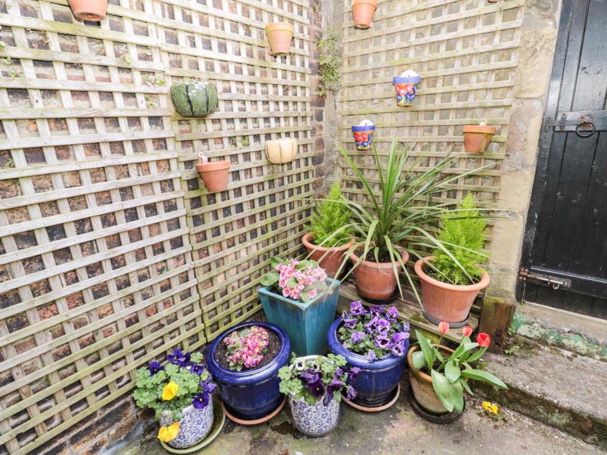 Coquet Cottage アンブル エクステリア 写真